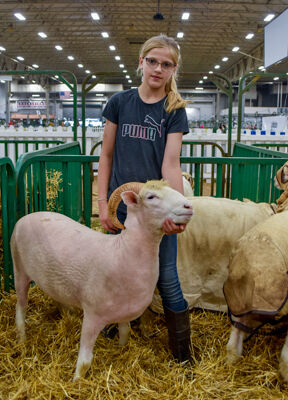 Faces of the fair: Animals—and the love of them—remain at the heart of the historic Indiana State Fair